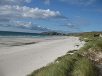 Why Barra is better