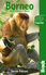 The essence of Borneo 