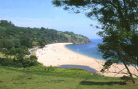 South Devon beaches are hard to beat