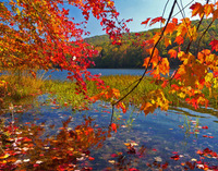 Natural wonders of West Virginia Natural wonders of West Virginia
