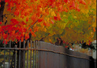 Feel the wind in your hair this fall