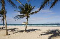 Cut price Caribbean