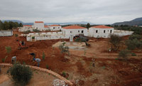 Home-grown olive oil a bonus for villa-owners in Crete