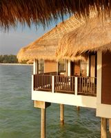 Malaysia’s Golden Palm Tree – a Golden Goose for Investment Malaysia’s Golden Palm Tree – a Golden Goose for Investment