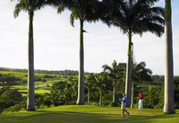 Record numbers invest in Royal Apartments as Caribbean property boom soars