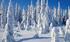 Lapland Investment Property: The complete package
