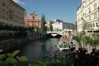 European buyers are pushing prices up in Slovenia