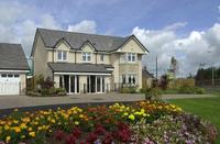Make an executive decision – buy with Persimmon