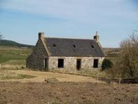 Ready, Steading, Go!