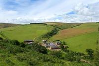 Rare organic stock farm