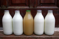 The milkman goes online to offer milk and more