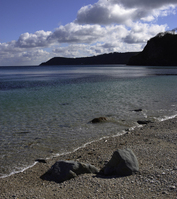 Early birds take in the horizon in Duporth