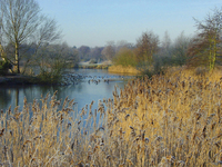 Walk into winter wildlife at Pensthorpe