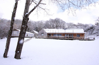 Escape the chaos for an eco-Christmas in West Wales