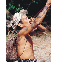 Borneo – An adventurer’s paradise