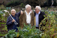 Trio of gardeners enjoy pick of the plots at Ridings Court