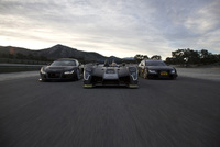 Audi opts for new prototype racing series