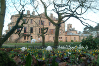 Drop in on the Scottish Snowdrop Festival