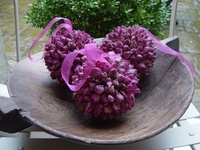 Simply Roses for the home