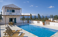 Olives oil the wheels for sale of villas in Crete
