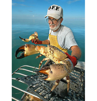 Cracking crustaceans in Key Largo