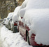 Snow covered cars