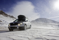 Skoda sales increase for 2009