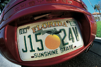America's sunshine state has it all in 2010