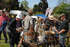 BoatJumble