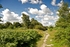 The beautiful surrounding countryside close to Bluebell View 