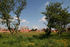 Views from Cleves Place in Melton Mowbray.
