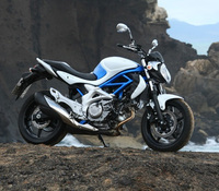 Suzuki Gladius