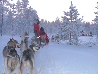 Ski time with Small Families