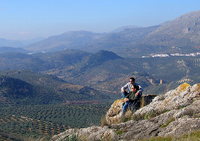 Amor in Andalucia