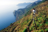 Hiking and cycling around Liguria region