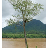 The Mekong experience: 6 countries, one river