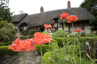 Shakespeare Country - the ultimate romantic destination