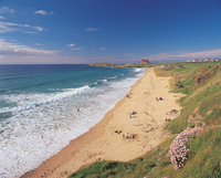 Newquay enjoys European visitor boost