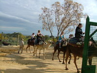 Head for Tunisia this Easter