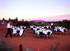 Ayers Rock Resort