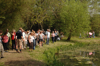 South and Heart of Suffolk Walking Festival