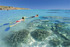 Extraordinary Taxi Ride, Western Australia