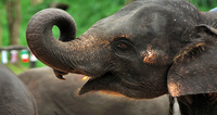 Experience 'Laos for Families' with Luxury Travel Co