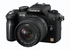 Panasonic Lumix G10