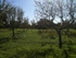 your-piece-mallorca.com