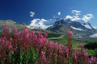 A breathtaking journey from Banff to Jasper