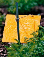 New and exclusive biological pest control for April and May