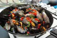 A fishy festival in Pembrokeshire