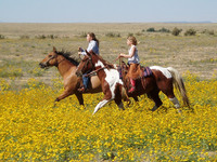 Horseriding in Colorado