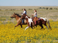 Saddle up in Colorado